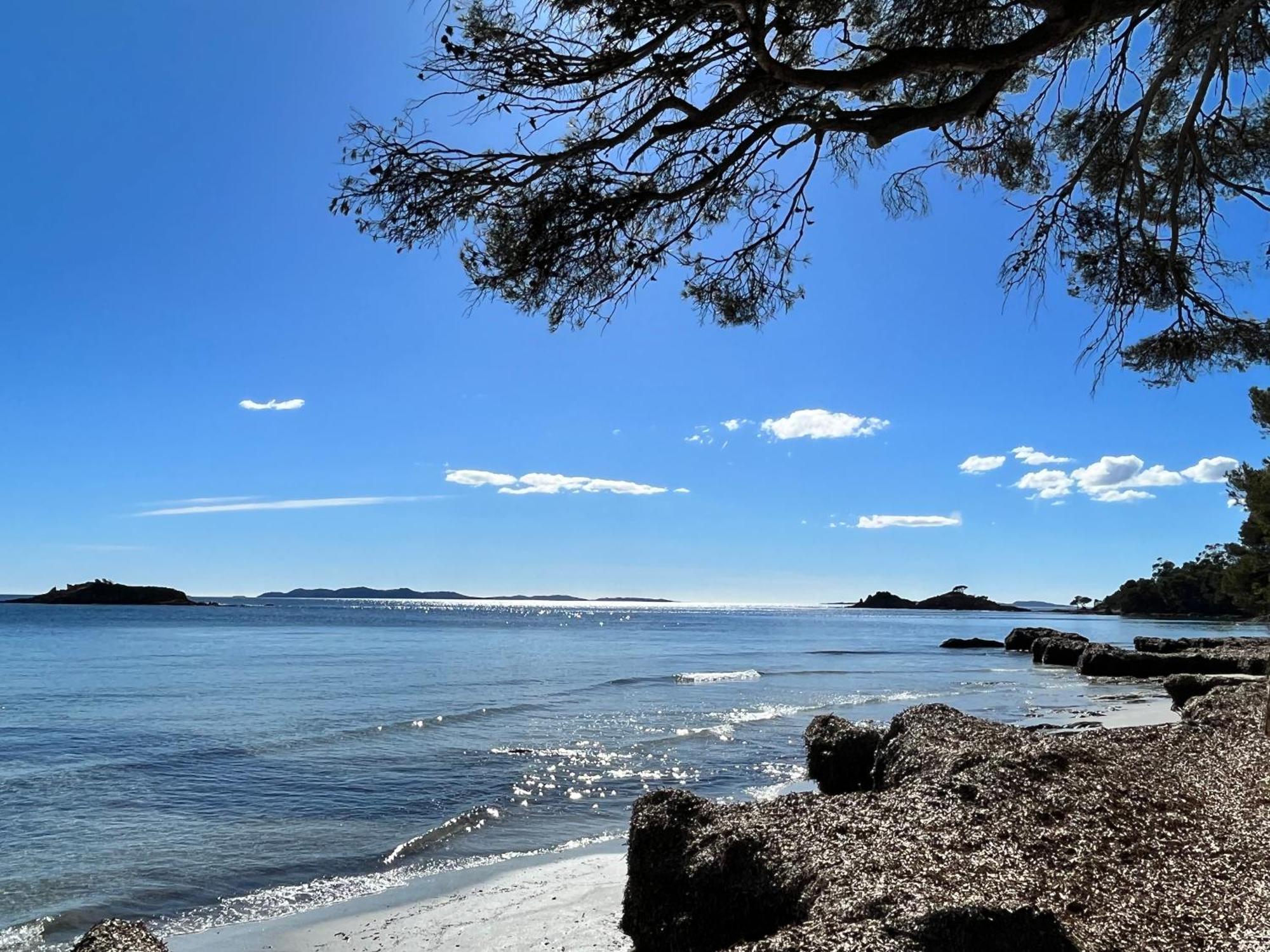Port De Hyeres L'Etoile Marine Apartman Kültér fotó